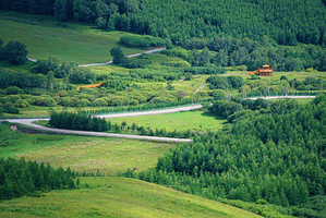 羊肠河湿地景区