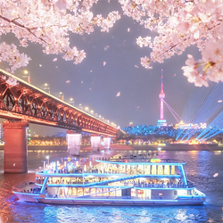 武汉两江游览·夜游长江