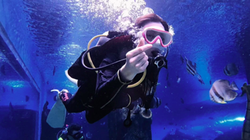 窥海潜水俱乐部