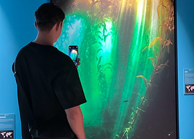 BBC EARTH 极地生灵数字影像大展