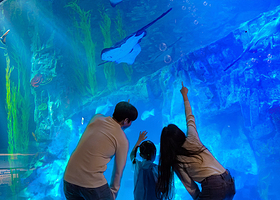 乐天世界水族馆