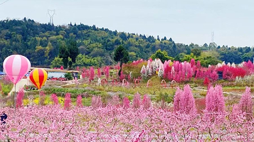 李白故里桃博园(米家粱水果合作社)