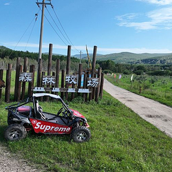 阿尔山森林牧场