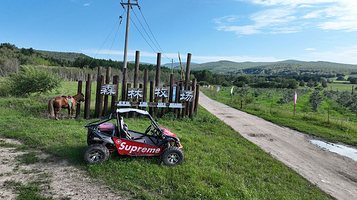 阿尔山森林牧场