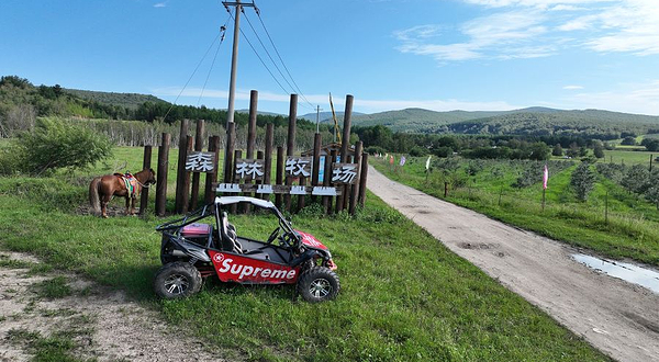 阿尔山森林牧场