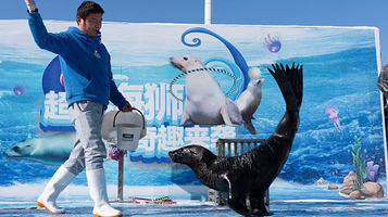 金沙滩啤酒城梦幻雪世界