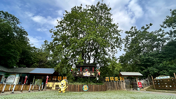 松鼠咔咔森林乐园