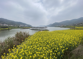 湖北大冶·桃花源里沉浸式水上漫游演出