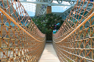 西旅乐可龙神奇动物城