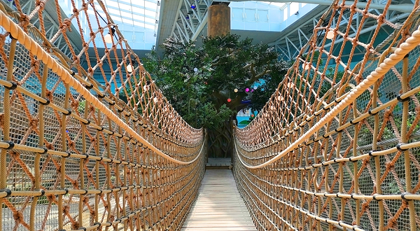 西旅乐可龙神奇动物城