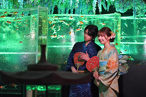 银座艺术水族馆美术馆