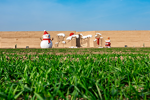 只有河南·戏剧幻城