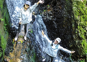 基诺山亚诺独树成林雨林徒步