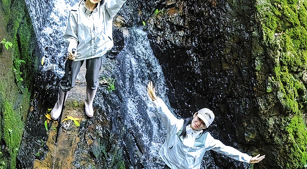 基诺山亚诺独树成林雨林徒步