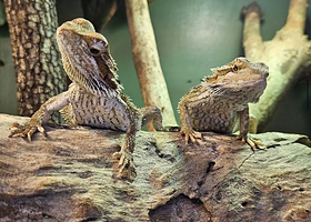 道格拉斯港野生动物栖息地