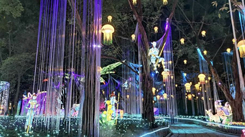 桂平西山泉迎春灯展