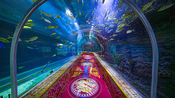 深圳观澜海洋世界