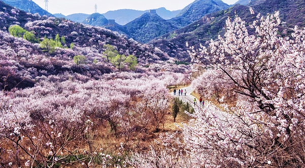 八达岭古长城(残长城)