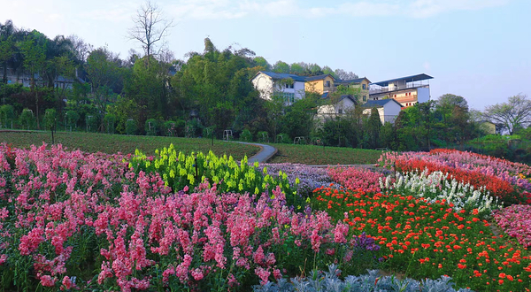 天坪山云林天乡