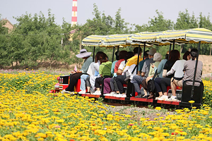 中宁县丰安屯文化生态园