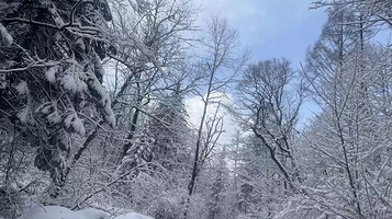 长白山原始生态第一漂