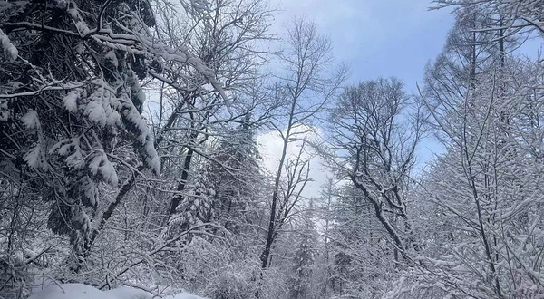 长白山原始生态第一漂