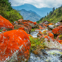 二郎山喇叭河风景区