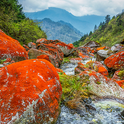 二郎山喇叭河风景区