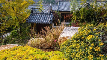 尼山书院百花谷