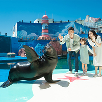 海合安青岛极地海洋公园