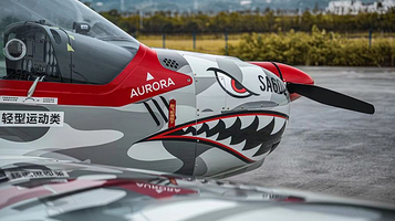 九洲神鹰航空飞行俱乐部(龙兴店)