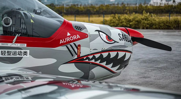 九洲神鹰航空飞行俱乐部(龙兴店)