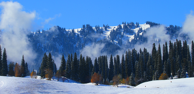 那拉提旅游风景区
