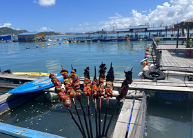 经途海上休闲鱼排