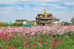 我的园艺家生态农庄