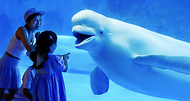 海合安天津极地海洋公园