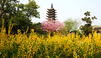 郑州中国绿化博览园