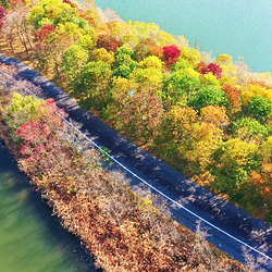 泗洪洪泽湖湿地景区