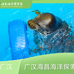 广汉海昌海洋探索馆