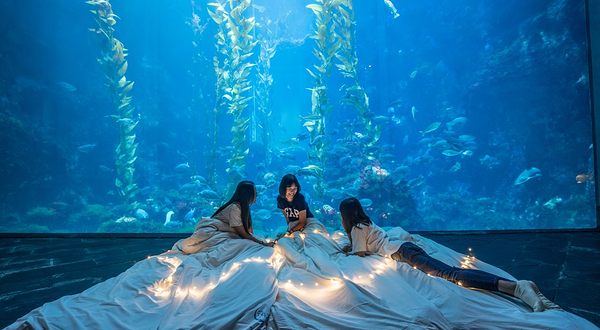 台湾海洋生物博物馆