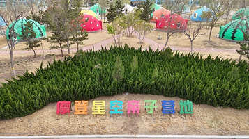 摩登星空亲子营地