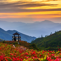 大围山国家森林公园