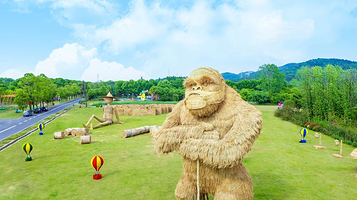 衡水湖国家级湿地公园-荷花公园