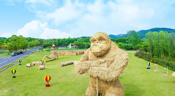 衡水湖国家级湿地公园-荷花公园