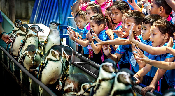 绿山野生动物园