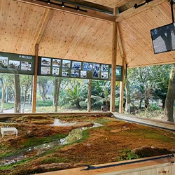 大衍·三星堆非遗研学基地