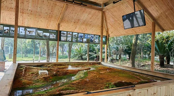 大衍·三星堆非遗研学基地