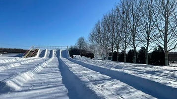 花木里冰雪王国
