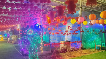 2024美食娱乐烟花嘉年华