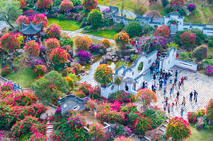 马岭观花植物园